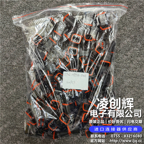 DT06-08SA-E005 现货实拍