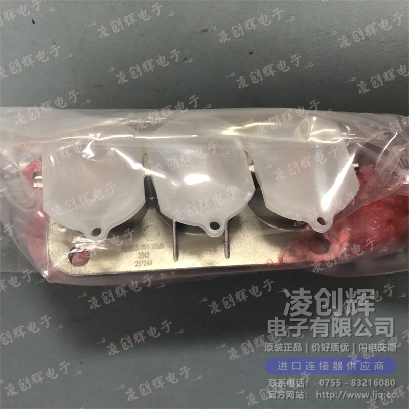 PL083X-301-20M8 现货实拍