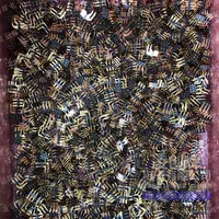 TMM-103-01-G-D-RA现货